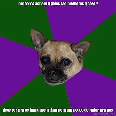 prq todos acham q gatos s�o melhores q c�es? deve ser prq os humanos n dam nem um pouco de  valor pra nos