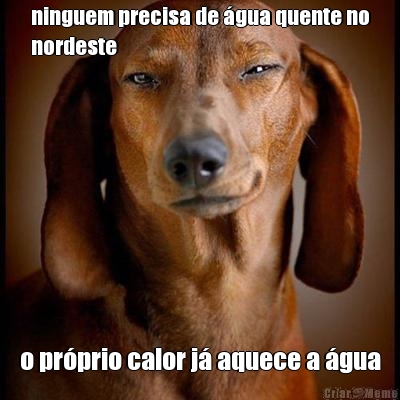 ninguem precisa de �gua quente no
nordeste o pr�prio calor j� aquece a �gua