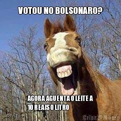 VOTOU NO BOLSONARO? AGORA AGUENTA O LEITE A
10 REAIS O LITRO