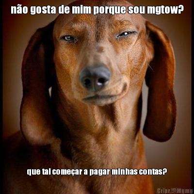 n�o gosta de mim porque sou mgtow? que tal come�ar a pagar minhas contas?
