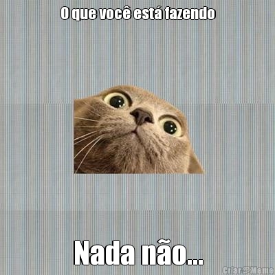 O que voc� est� fazendo Nada n�o...