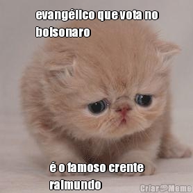 evang�lico que vota no
bolsonaro � o famoso crente
raimundo