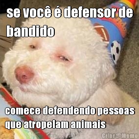 se voc� � defensor de
bandido comece defendendo pessoas
que atropelam animais