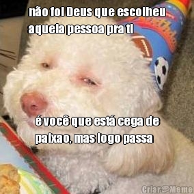 n�o foi Deus que escolheu
aquela pessoa pra ti � voc� que est� cega de
paixao, mas logo passa