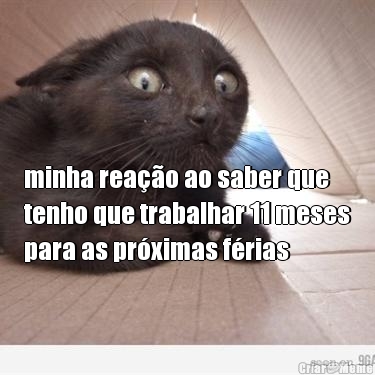 minha rea��o ao saber que
tenho que trabalhar 11 meses
para as pr�ximas f�rias 