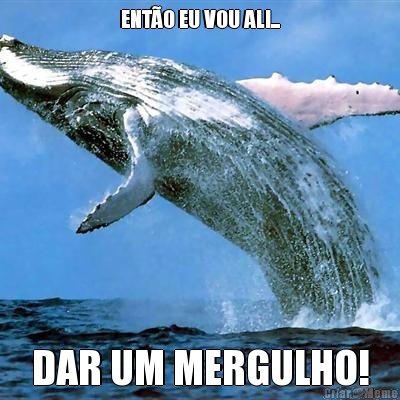 ENT�O EU VOU ALI... DAR UM MERGULHO!