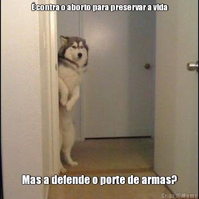 � contra o aborto para preservar a vida Mas a defende o porte de armas?