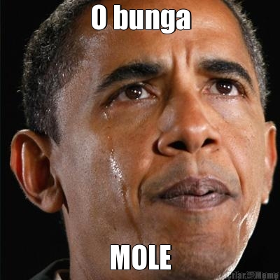 O bunga MOLE
