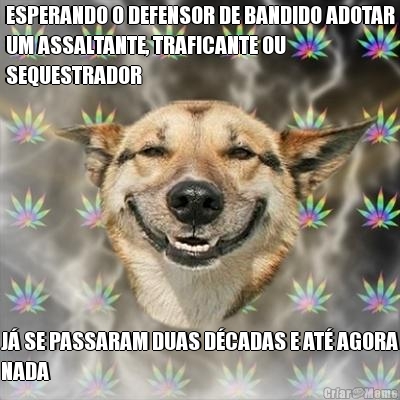 ESPERANDO O DEFENSOR DE BANDIDO ADOTAR
UM ASSALTANTE, TRAFICANTE OU
SEQUESTRADOR J� SE PASSARAM DUAS D�CADAS E AT� AGORA
NADA