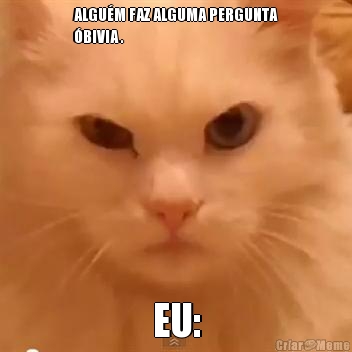 ALGU�M FAZ ALGUMA PERGUNTA
�BIVIA . EU: