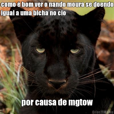 como � bom ver o nando moura se doendo
igual a uma bicha no cio por causa de mgtow