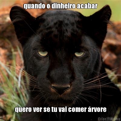 quando o dinheiro acabar quero ver se tu vai comer �rvore