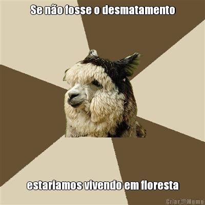 Se n�o fosse o desmatamento estariamos vivendo em floresta