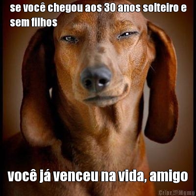 se voc� chegou aos 30 anos solteiro e
sem filhos voc� j� venceu na vida, amigo