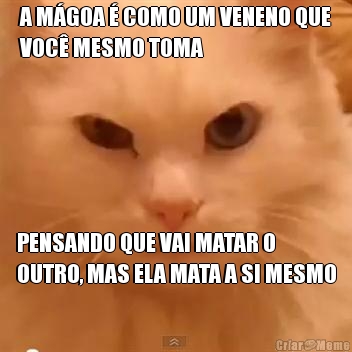 A M�GOA � COMO UM VENENO QUE
VOC� MESMO TOMA PENSANDO QUE VAI MATAR O
OUTRO, MAS ELA MATA A SI MESMO