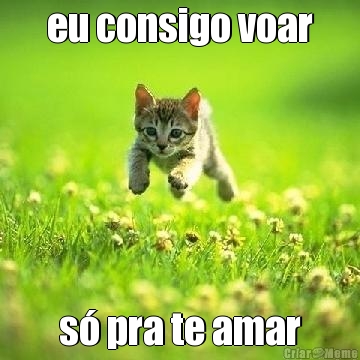 eu consigo voar s� pra te amar
