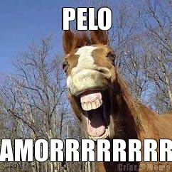 PELO AMORRRRRRRR