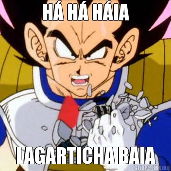 H� H� H�IA LAGARTICHA BAIA