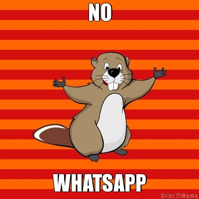 NO WHATSAPP