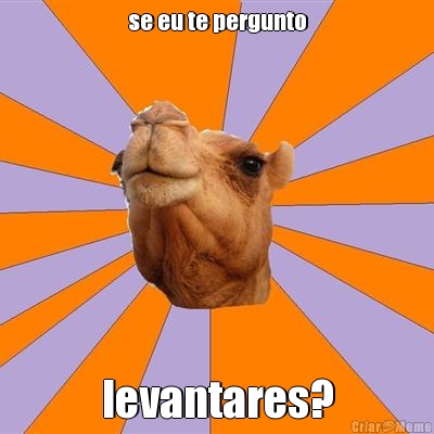 se eu te pergunto levantares?
