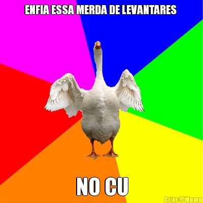 ENFIA ESSA MERDA DE LEVANTARES  NO CU