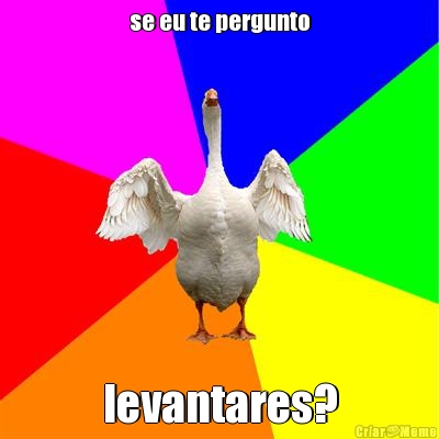se eu te pergunto levantares?