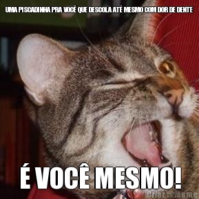 UMA PISCADINHA PRA VOC� QUE DESCOLA AT� MESMO COM DOR DE DENTE � VOC� MESMO!