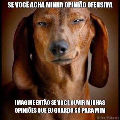 SE VOC� ACHA MINHA OPINI�O OFENSIVA IMAGINE ENT�O SE VOC� OUVIR MINHAS
OPINI�ES QUE EU GUARDO S� PARA MIM