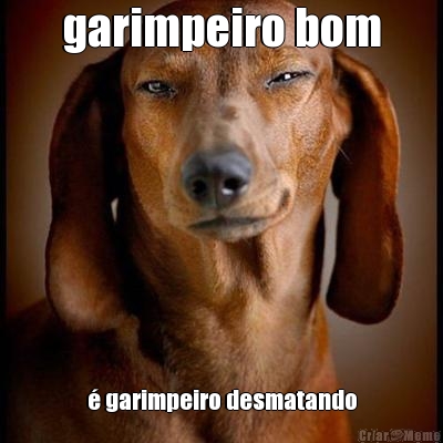 garimpeiro bom � garimpeiro desmatando