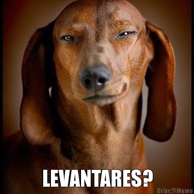  LEVANTARES?