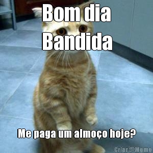 Bom dia
Bandida Me paga um almo�o hoje?
