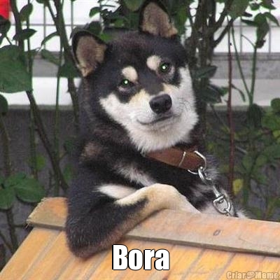  Bora