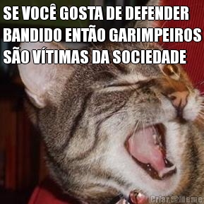 SE VOC� GOSTA DE DEFENDER
BANDIDO ENT�O GARIMPEIROS
S�O V�TIMAS DA SOCIEDADE 