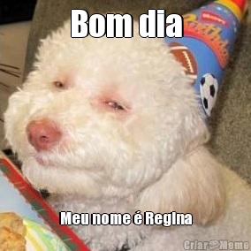 Bom dia Meu nome � Regina