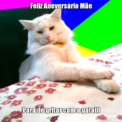Feliz Anevers�rio M�e Para de gritar com a gata!!!