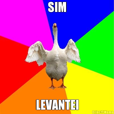 SIM LEVANTEI