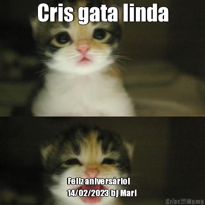 Cris gata linda Feliz anivers�rio!
14/02/2023 bj Mari