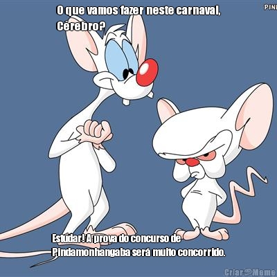 O que vamos fazer neste carnaval,
C�rebro? Estudar! A prova do concurso de
Pindamonhangaba ser� muito concorrido.