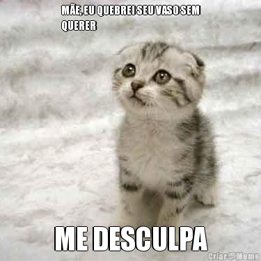 M�E, EU QUEBREI SEU VASO SEM
QUERER ME DESCULPA