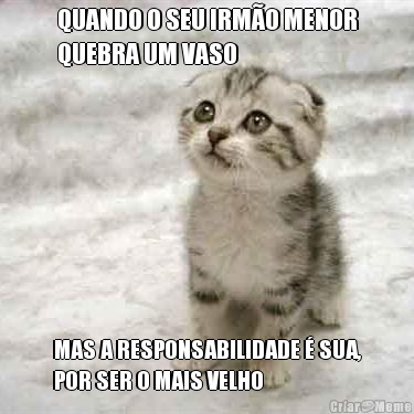 QUANDO O SEU IRM�O MENOR
QUEBRA UM VASO MAS A RESPONSABILIDADE � SUA,
POR SER O MAIS VELHO