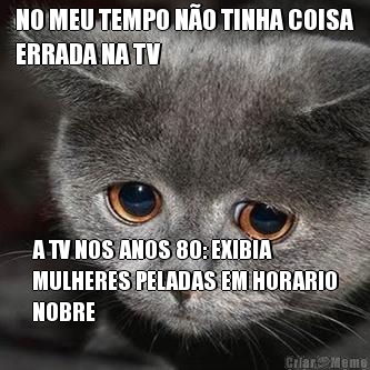 NO MEU TEMPO N�O TINHA COISA
ERRADA NA TV A TV NOS ANOS 80: EXIBIA
MULHERES PELADAS EM HORARIO
NOBRE