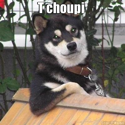 T choupi  