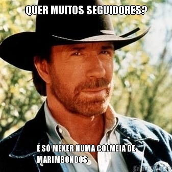 QUER MUITOS SEGUIDORES? � S� MEXER NUMA COLMEIA DE
MARIMBONDOS
