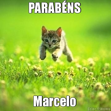 PARAB�NS  Marcelo 