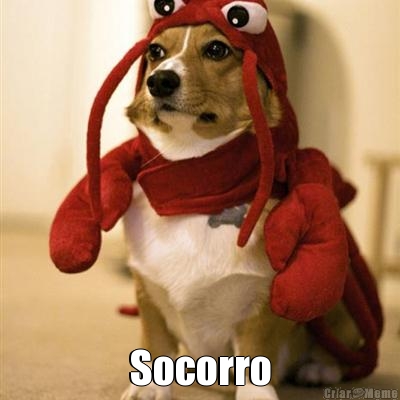  Socorro