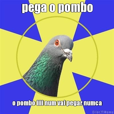 pega o pombo o pombo iiii num vai pegar numca