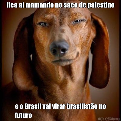 fica a� mamando no saco de palestino e o Brasil vai virar brasilist�o no
futuro