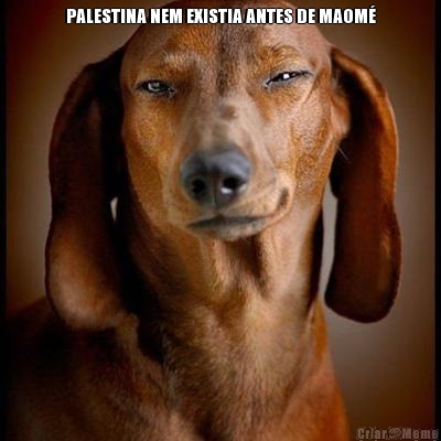 PALESTINA NEM EXISTIA ANTES DE MAOM� 