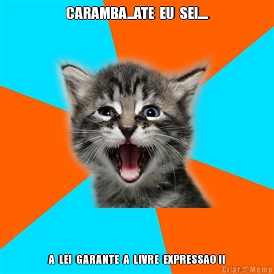 CARAMBA...ATE  EU  SEI..... A  LEI  GARANTE  A  LIVRE  EXPRESSAO !!