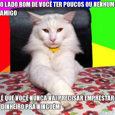 O LADO BOM DE VOC� TER POUCOS OU NENHUM
AMIGO � QUE VOC� NUNCA VAI PRECISAR EMPRESTAR
DINHEIRO PRA NINGU�M